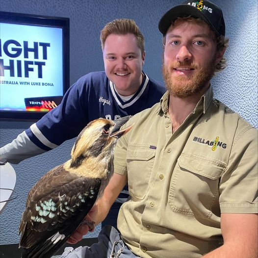 Animal Impressions: Kookaburra episode artwork