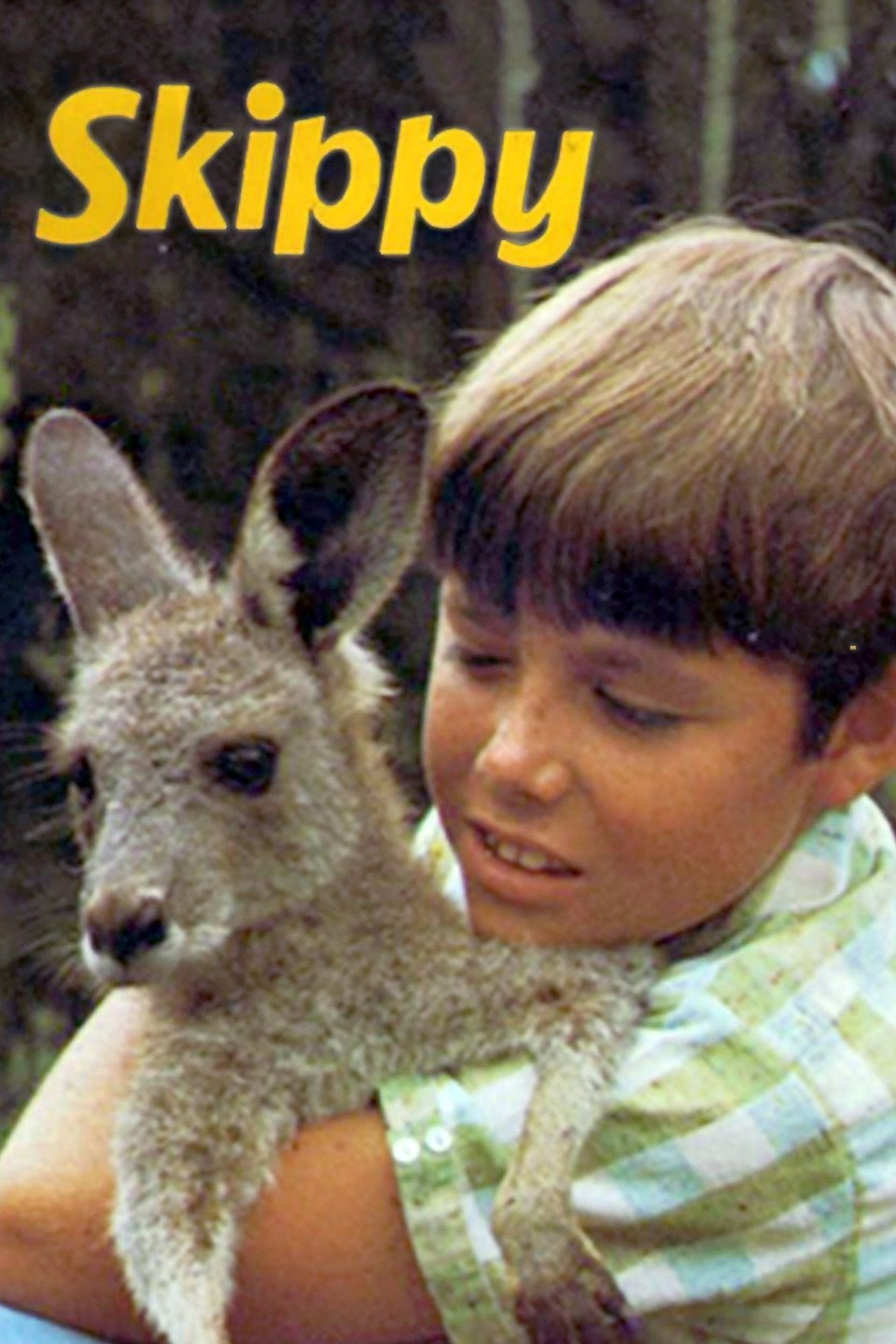 FULL SHOW: Where Is Skippy? episode artwork