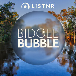 The 'Bidgee Bubble - Peter McFadgen