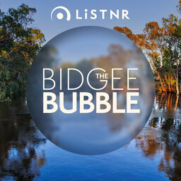 The 'Bidgee Bubble - LCN (Linking Communities Network Ltd.)