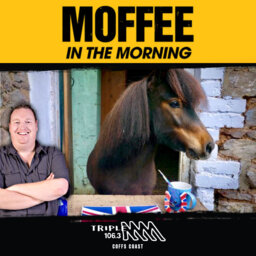Patrick The Pony Gets Banned from Pub! Moffee Chats With His Owner!