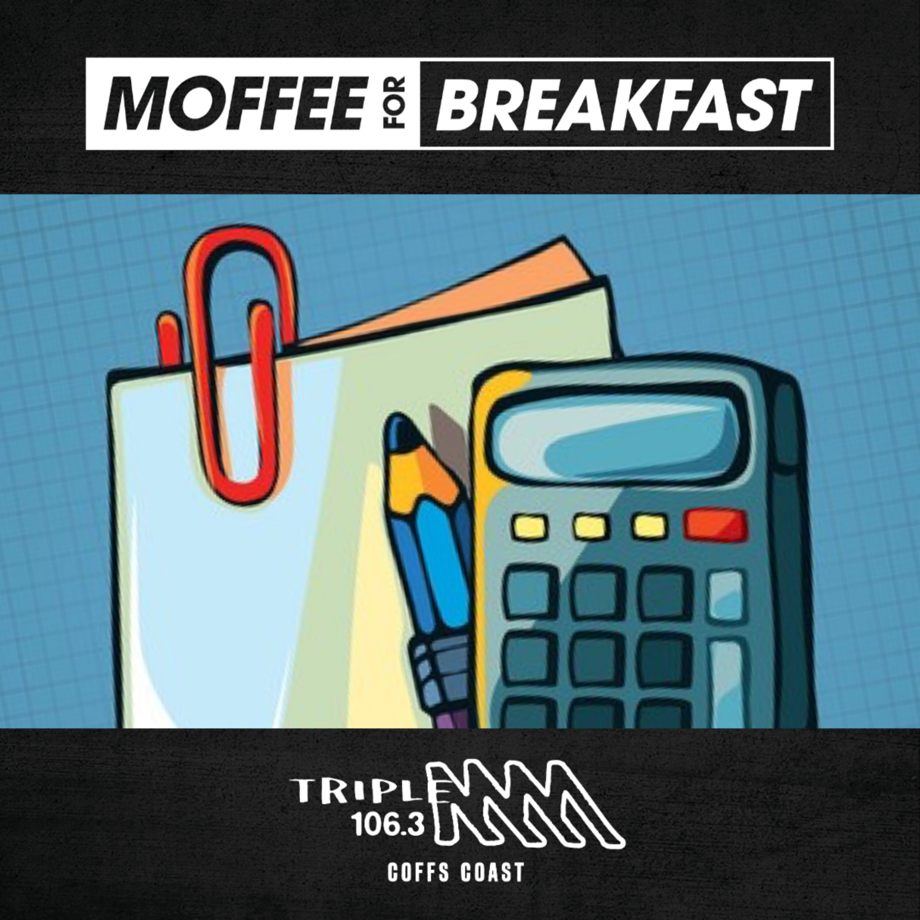 Happy New Year Accountants! How Do They Celebrate Their New Years Eve? Moffee’s Sister Explains!