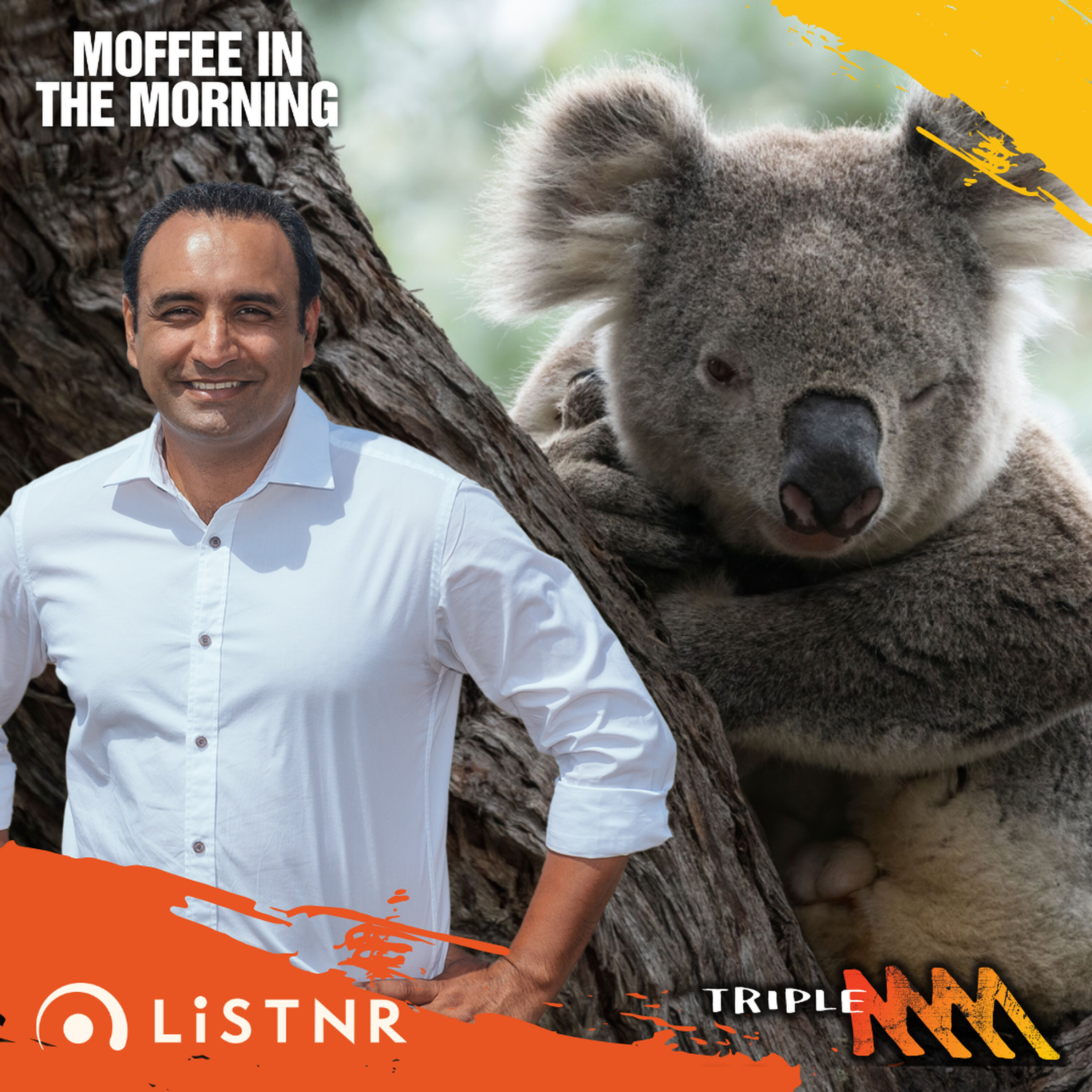 Coffs Harbour MP Gurmesh Singh on Great Koala National Park