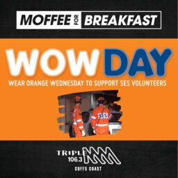 SES Commander Bill Roffey Speaks to Triple M About WOW Day