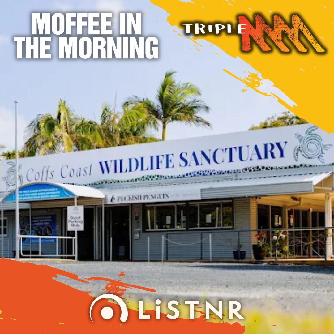 Tiga Cross from Coffs Coast Wildlife Sanctuary About Standing With The Sanctuary this weekend