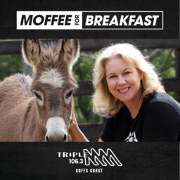Animal Justice Candidate for Cowper Kellie Pearce Chats to Moffee