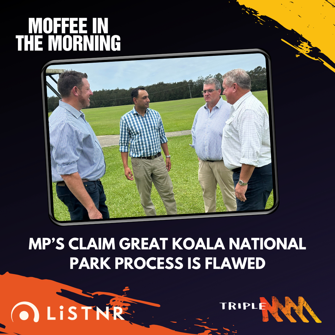 AUDIO: Gurmesh Singh, Michael Kemp & Richie Williamson Claim Great Koala National Park Process is Flawed