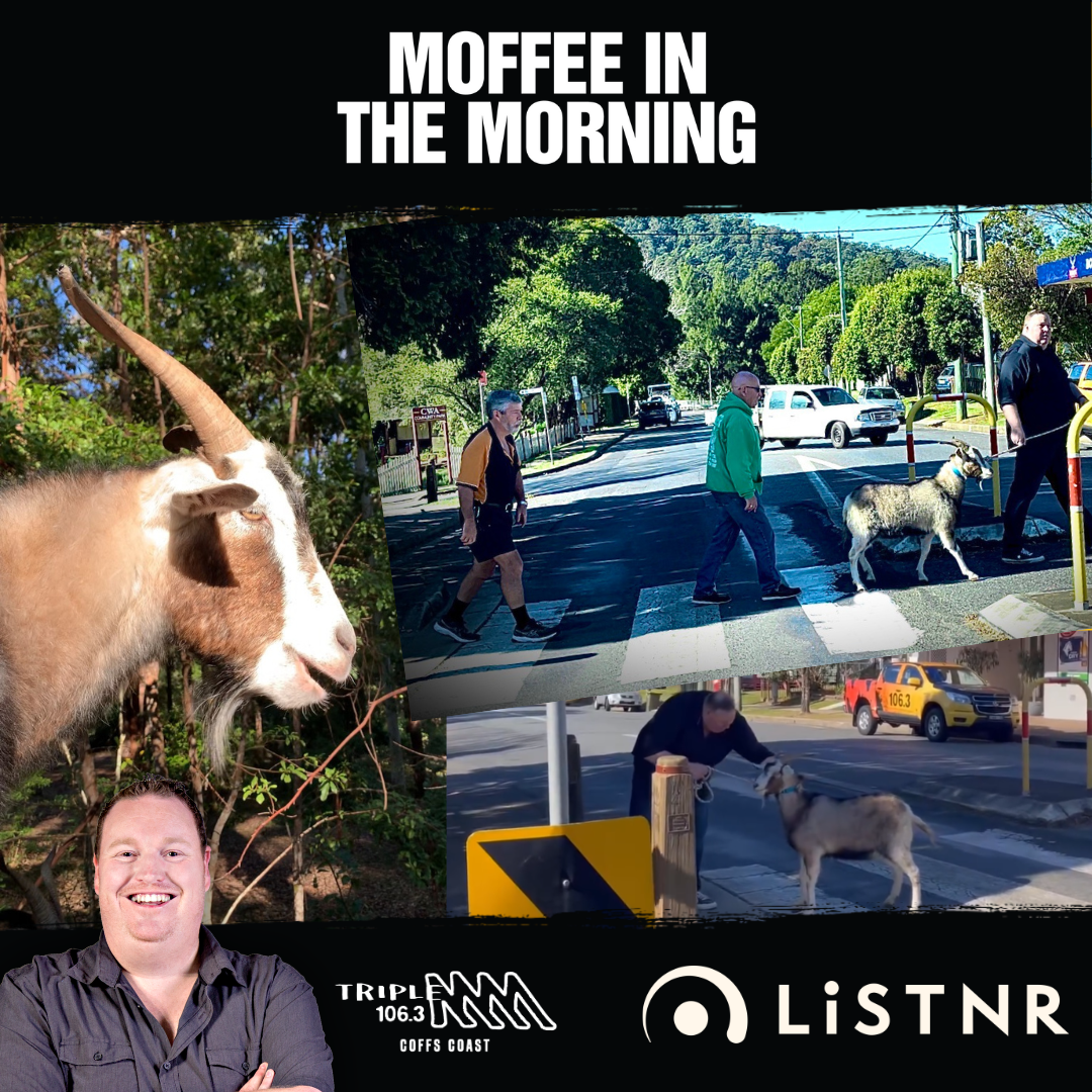 RIP Ramsey the Triple M Goat - Moffee's Touching Tribute