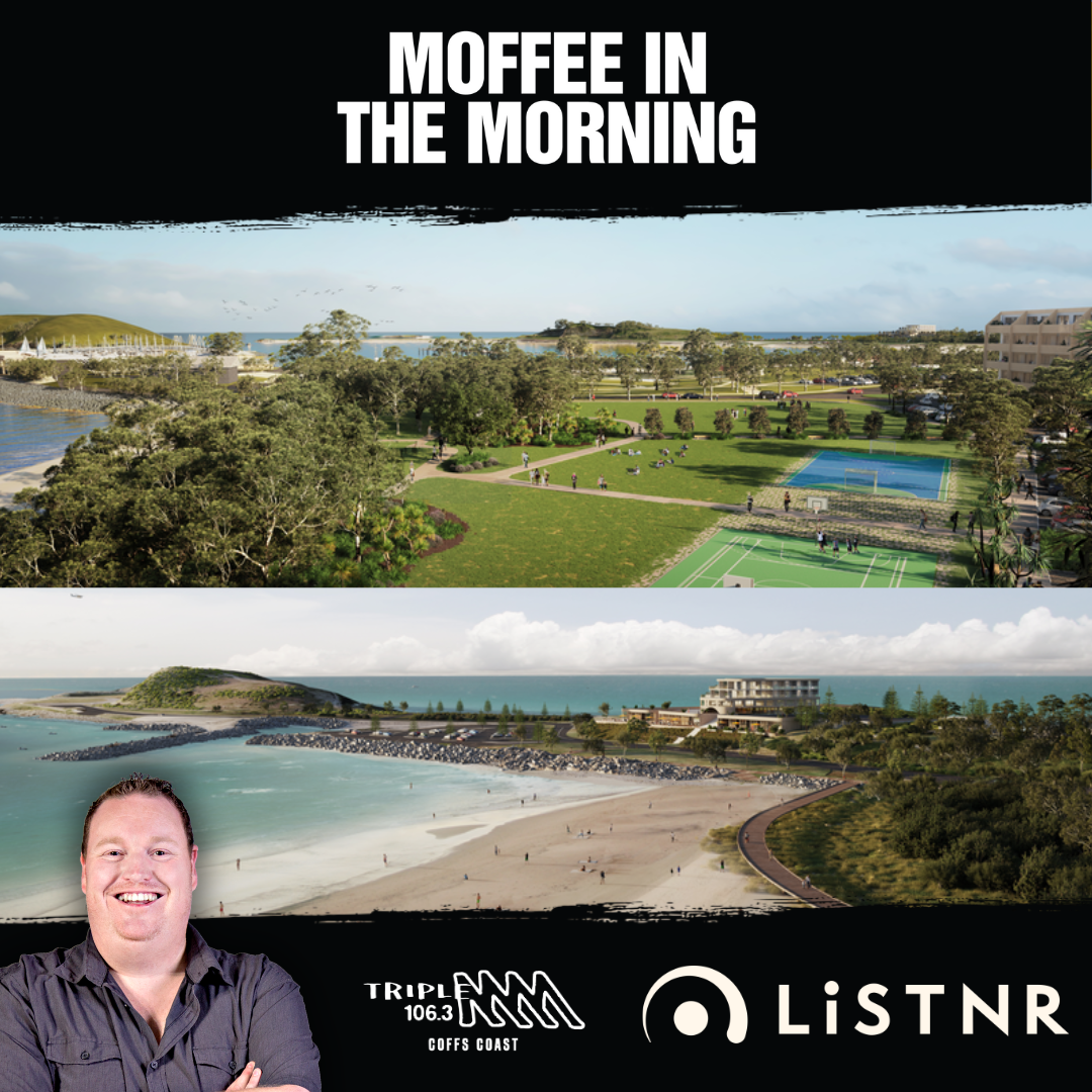 Vy Nguyen Explains Jetty Foreshore Project, Process & Timeline