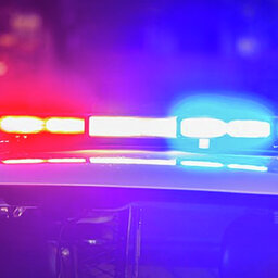 Southern Tasmanian police officer stood down after accessing abuse material