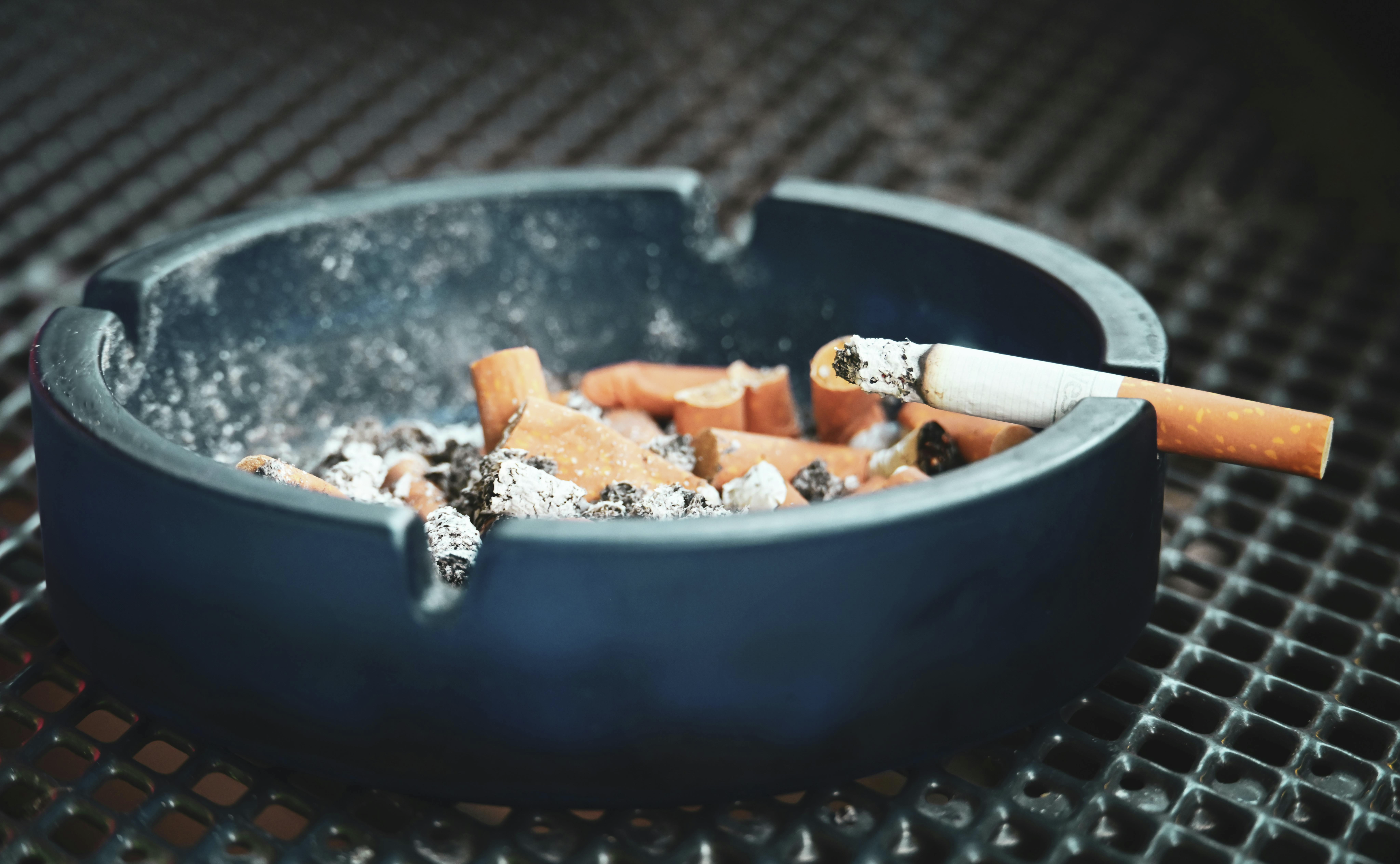 Tasmania begins new crackdown on illicit tobacco as MP warns against reducing excise episode artwork