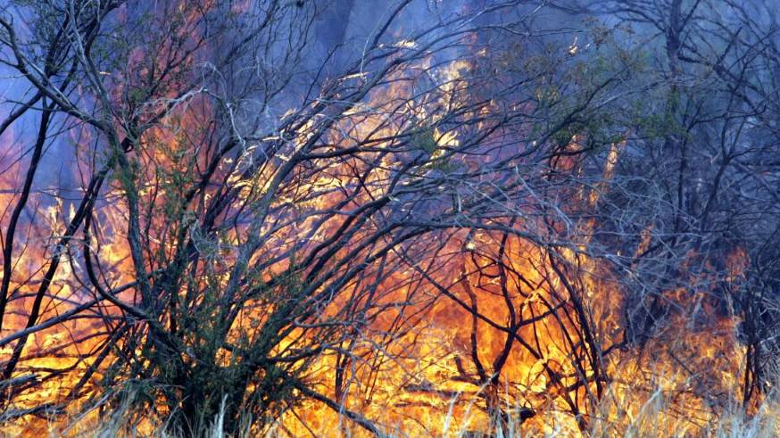 Bushfire continues to burn out of control in Coles Bay