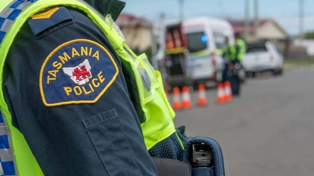 Investigations underway after man killed by his dog near Kingston