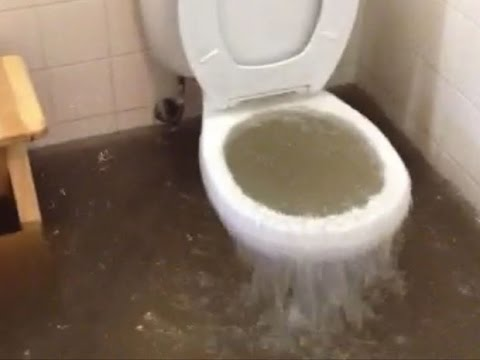 фото вода в унитазе