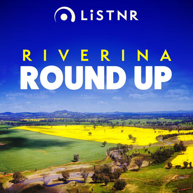 A look ahead to the 2024 in the arts in The Riverina & Griffith Christmas Late Night Shopping