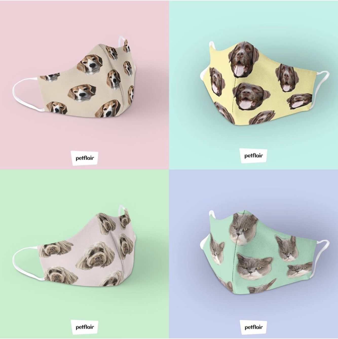 Dr Katrina Warren Has Created Adorable Face Masks With Pictures Of Your Pet