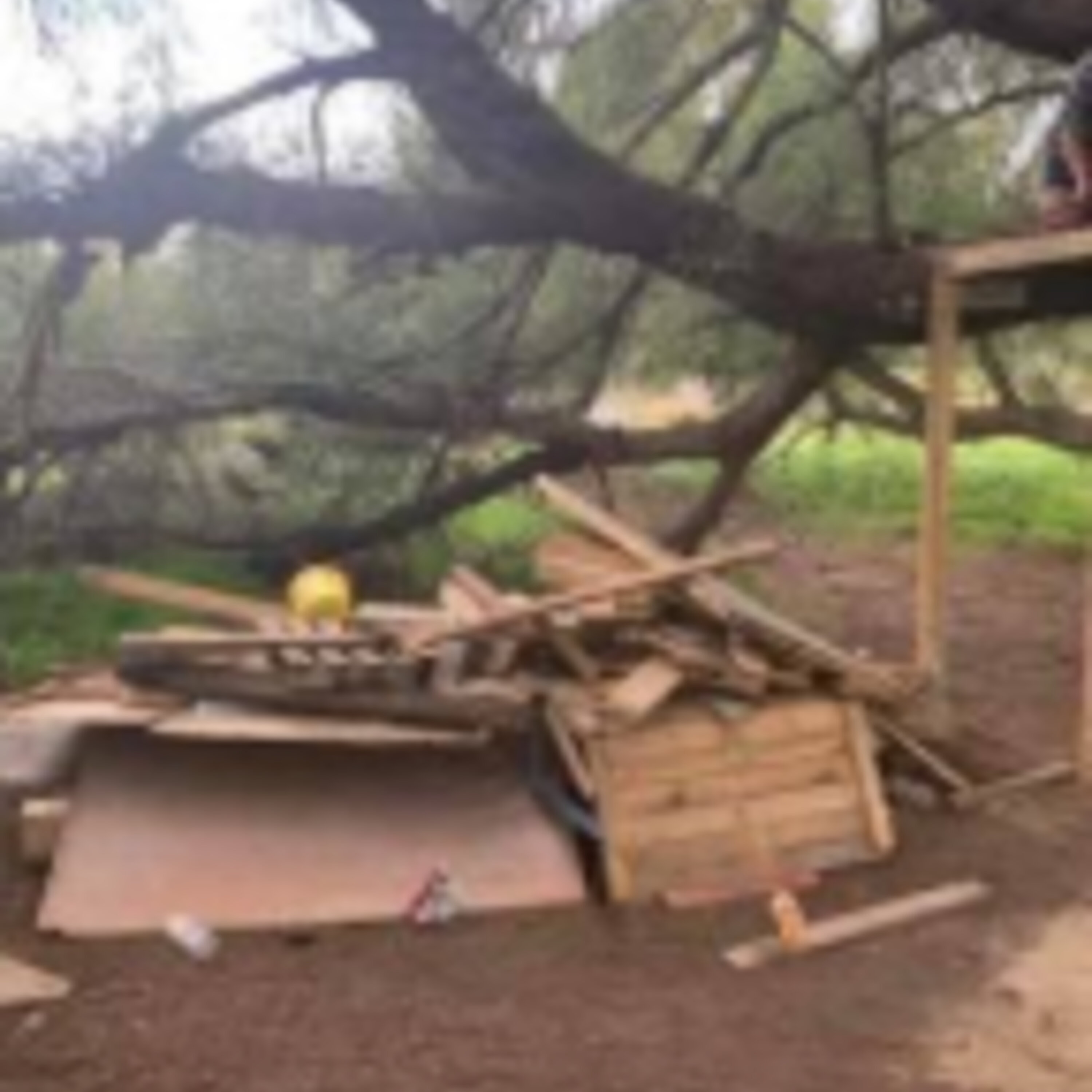Jail & 30G Fine on The Line For a Harmless Huntly Hut!