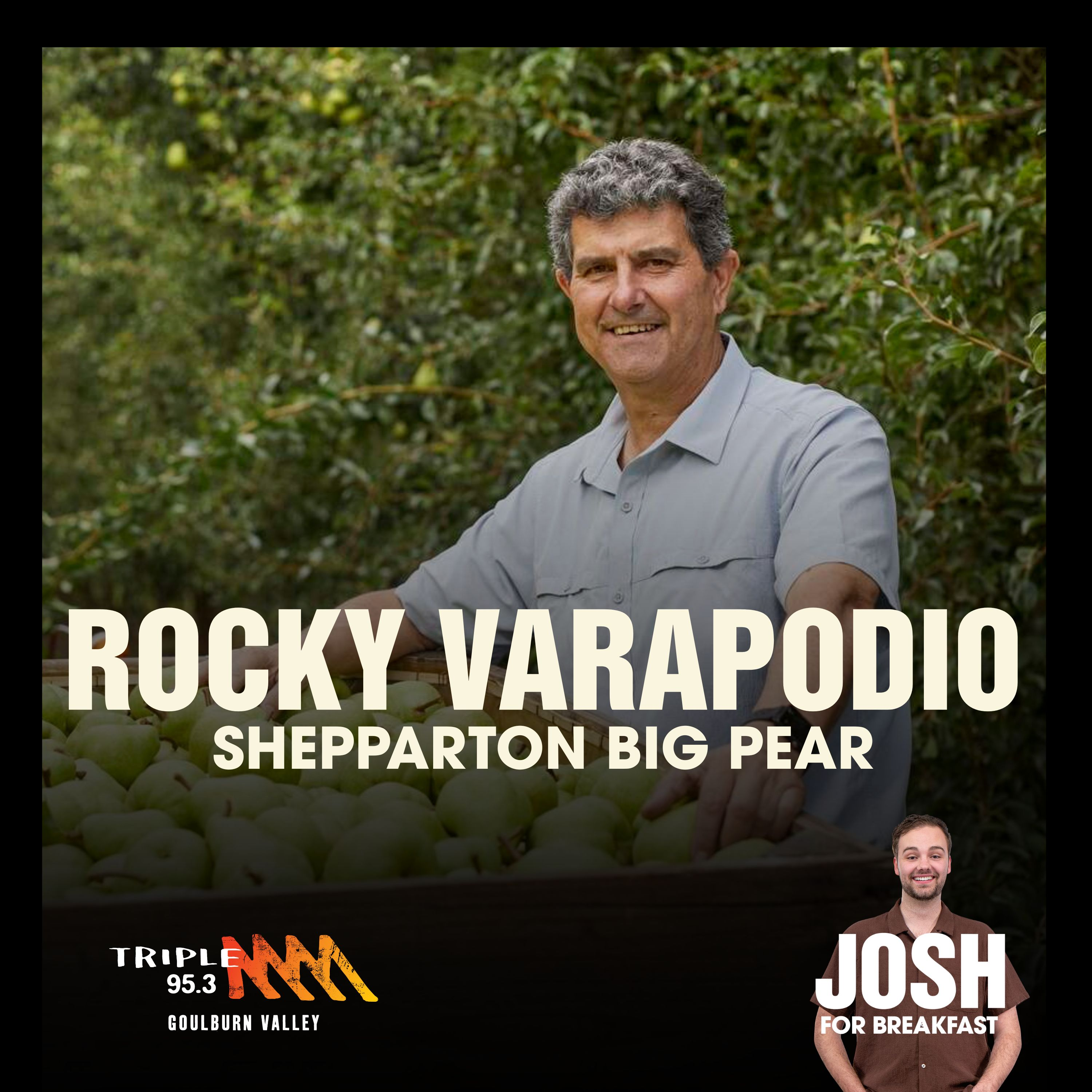 LISTEN | The Shepparton Big Pear's Rocky Varapodio