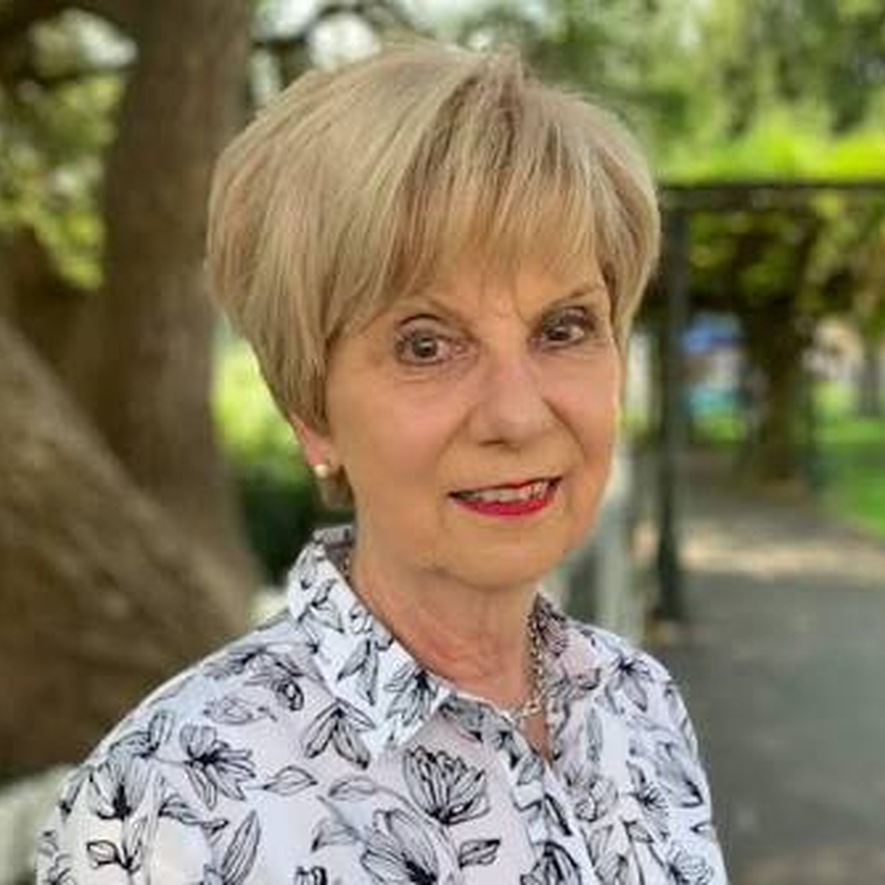 Mount Gambier Council outlines position on election delay and offers alternative episode artwork