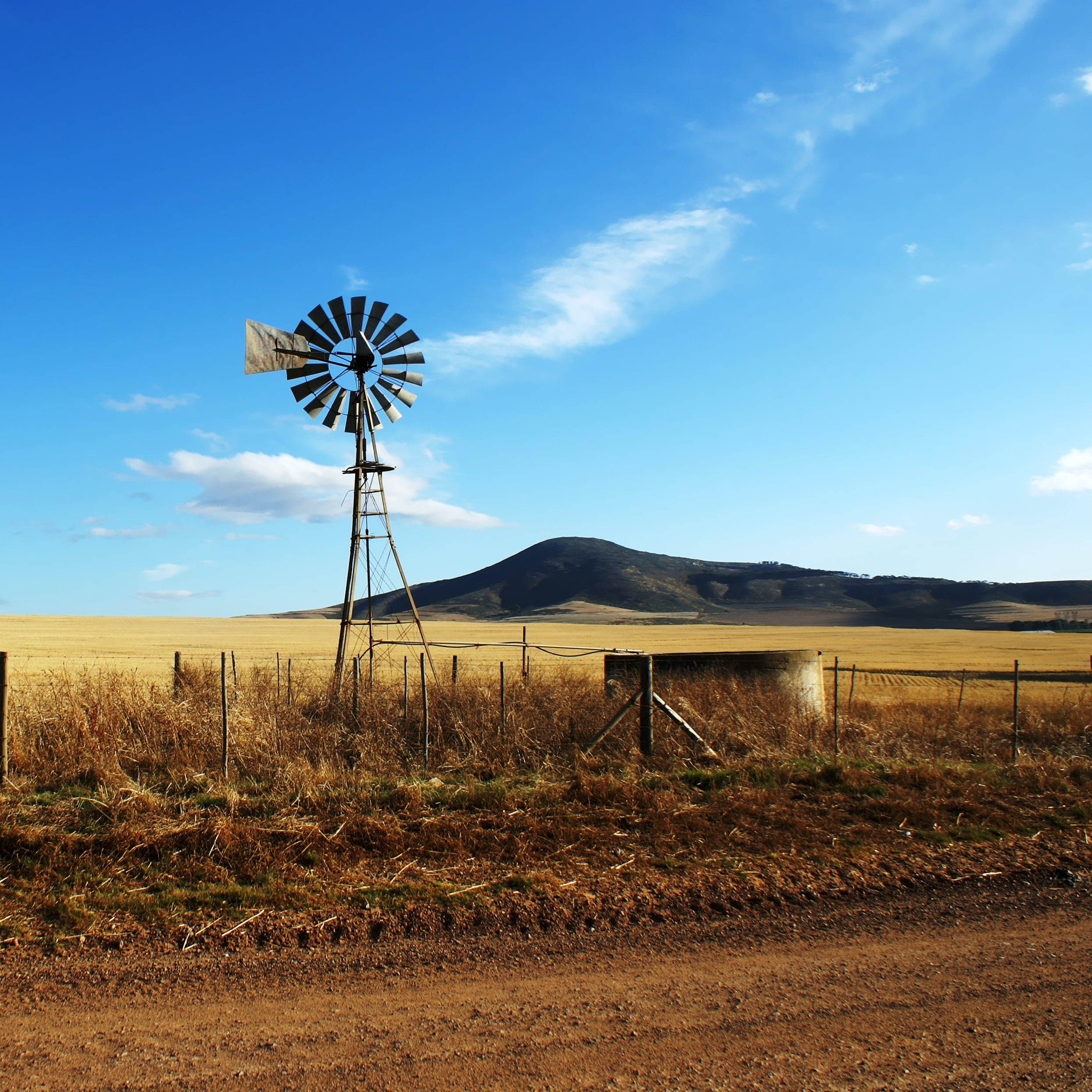 Value of SA farmland falls