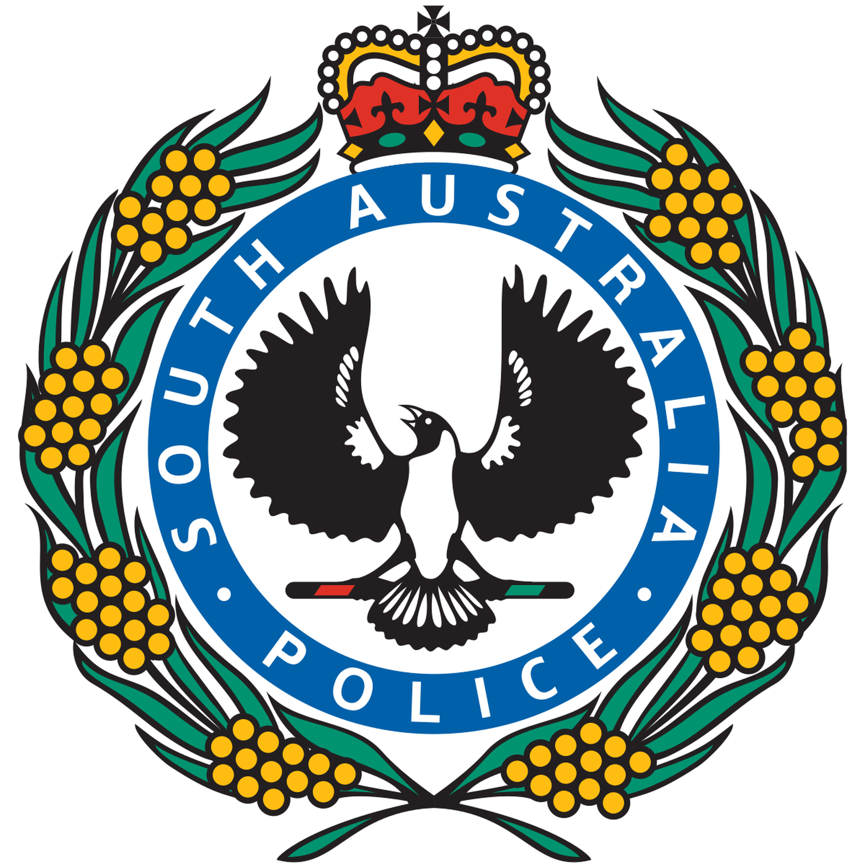 A big day for SA police with a record number of arrests.