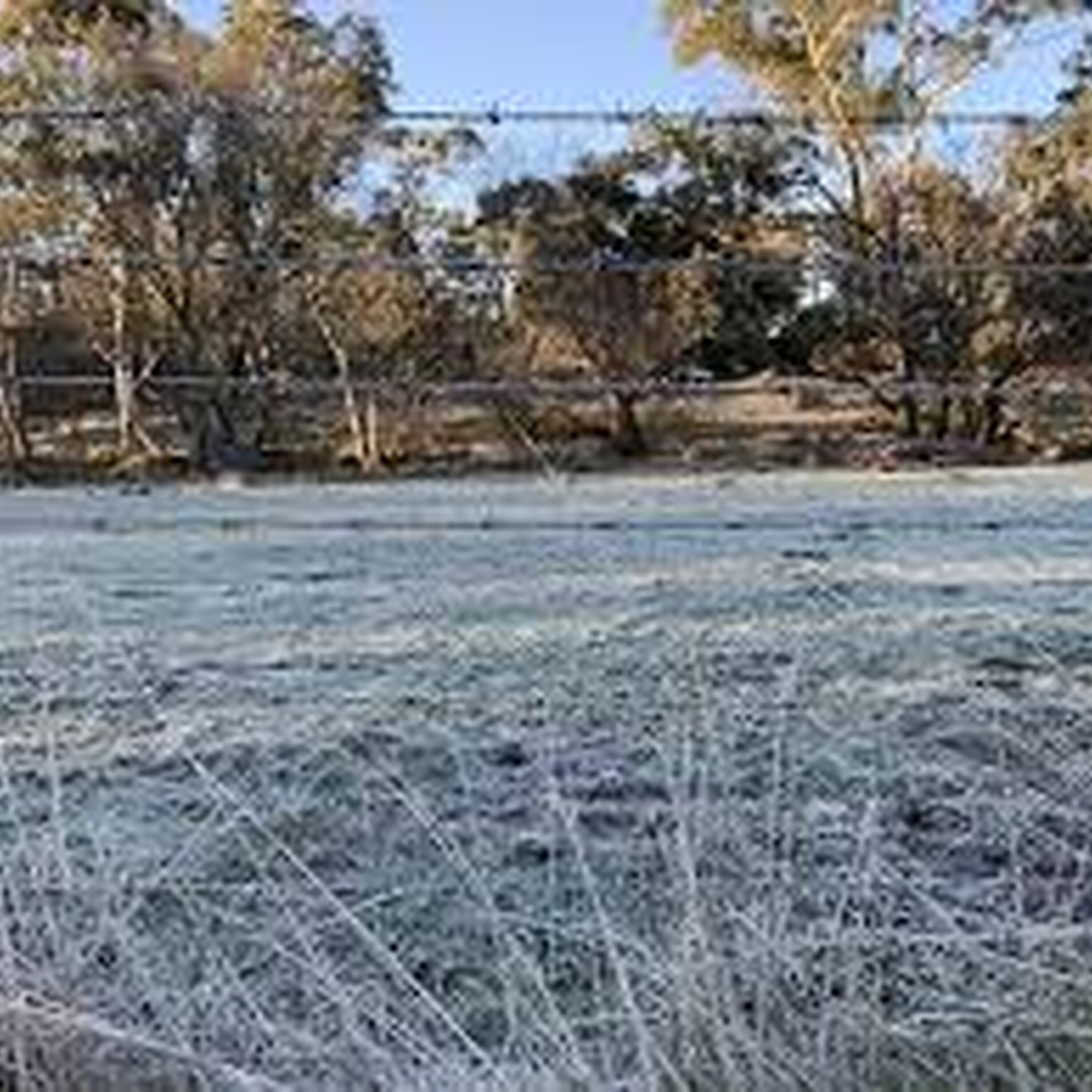 South east cops polar blast as winter gets ready to arrive