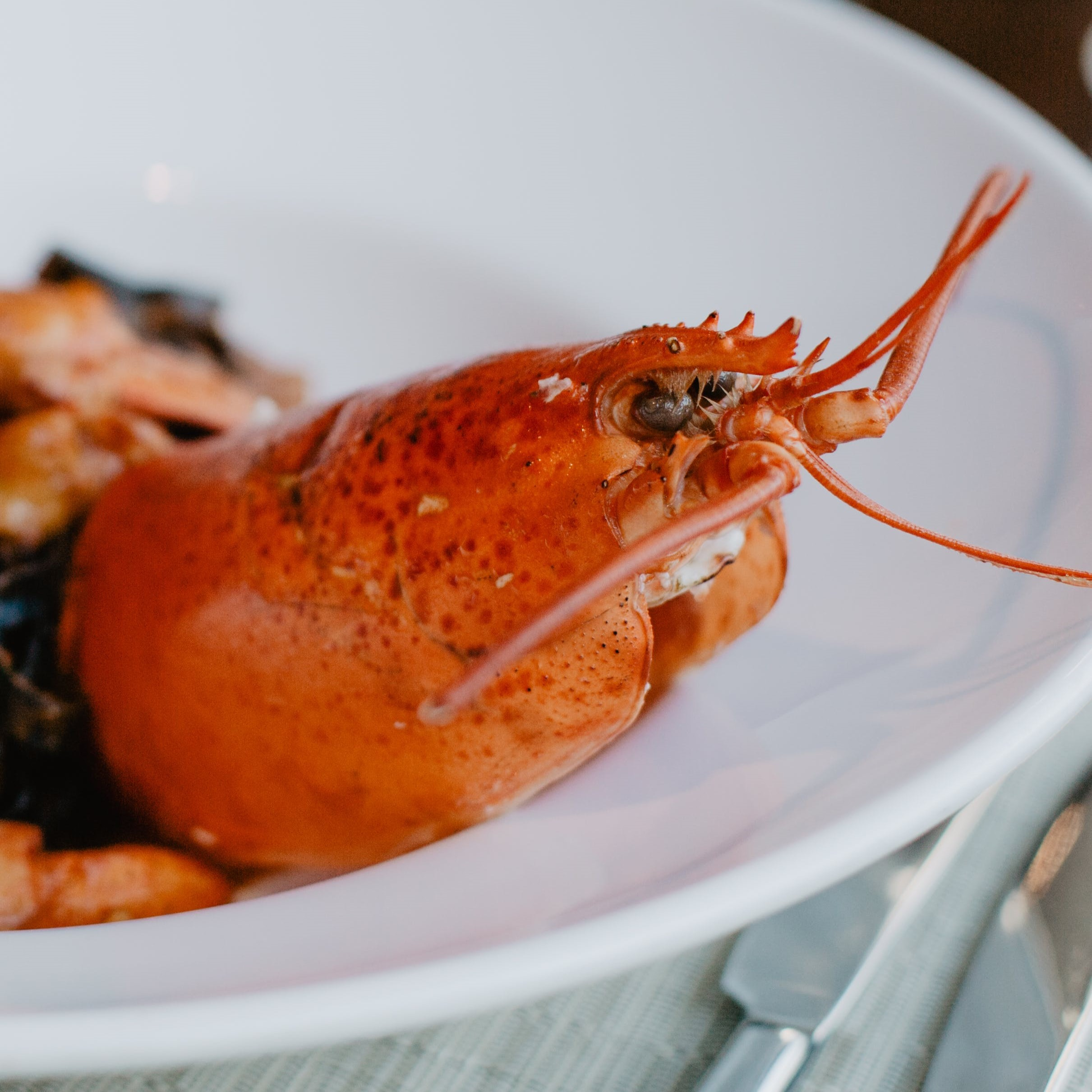 New campaign launches, urging us to eat SA seafood
