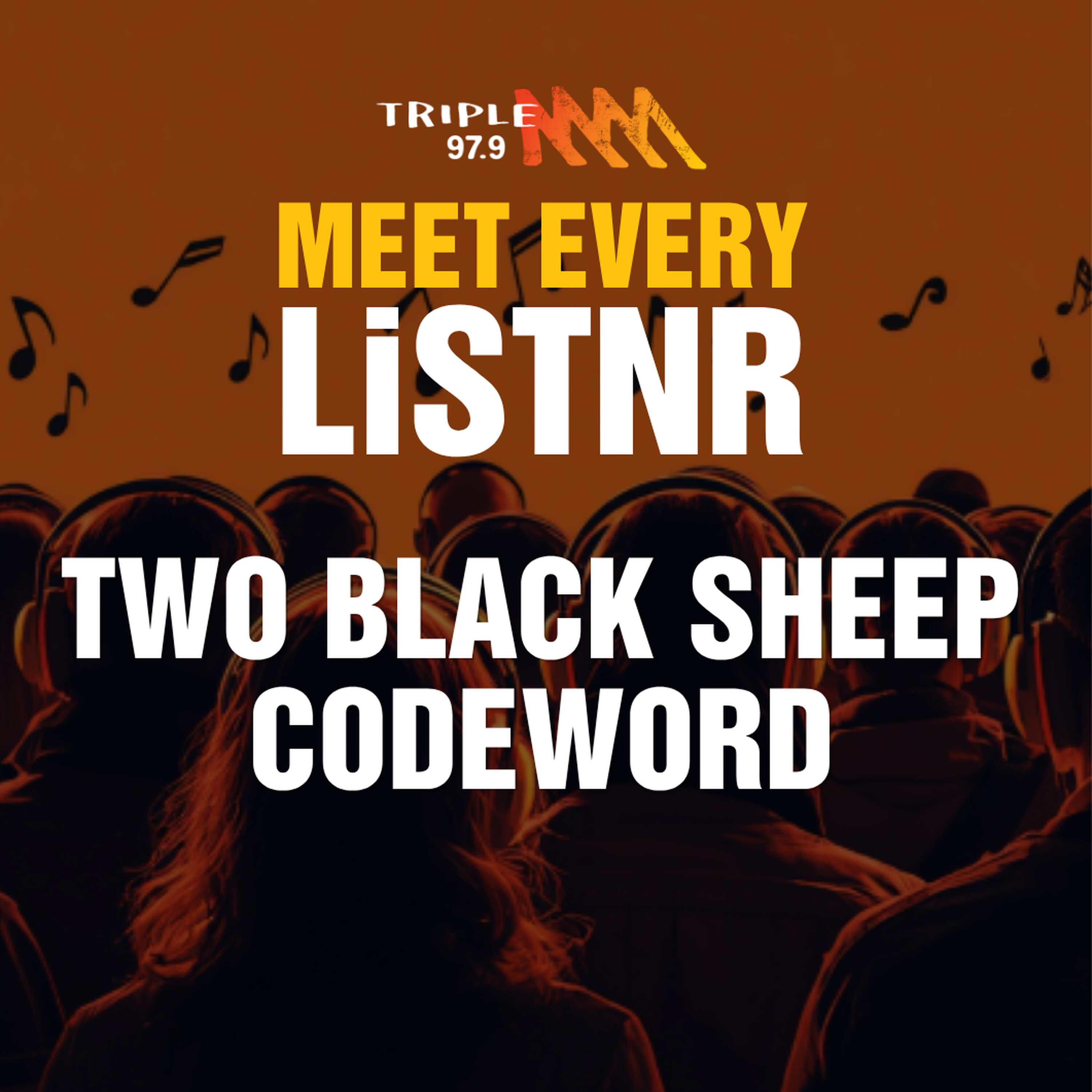 MEET EVERY LISTNR - TWO BLACK SHEEP CODEWORD