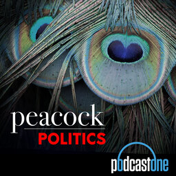 Adam Peacock Chats To Matman About Peacock Politics Podcast