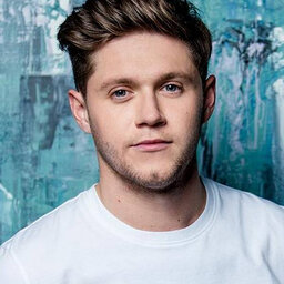 Niall Horan Talks A Possible One Direction Reunion
