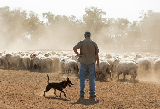 Riverina Farmers most optimistic in NSW. episode artwork