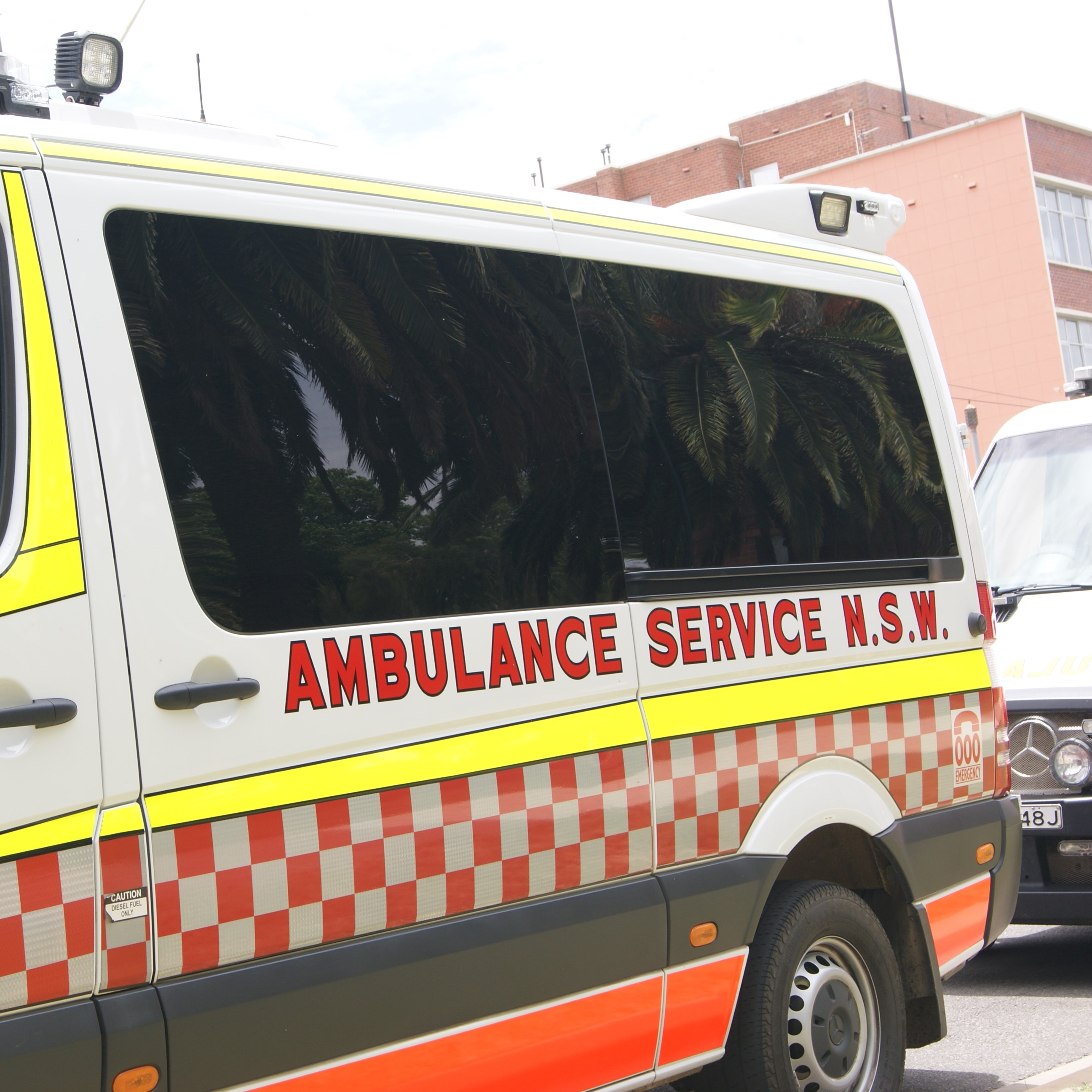 Northern NSW man in critical condition after bat bite