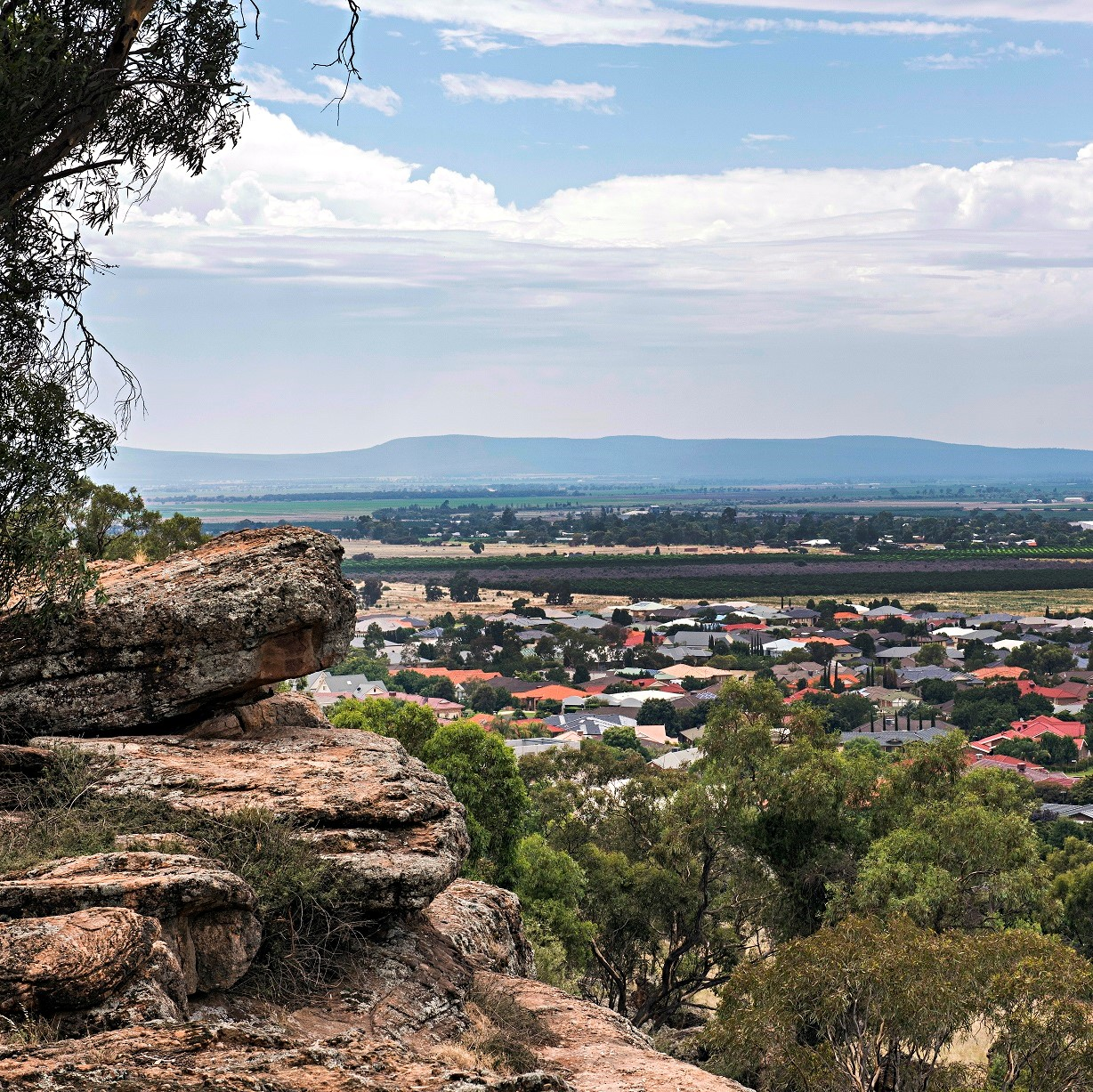 Winter forecast predicts low rainfall, warmer temperatures for the Riverina