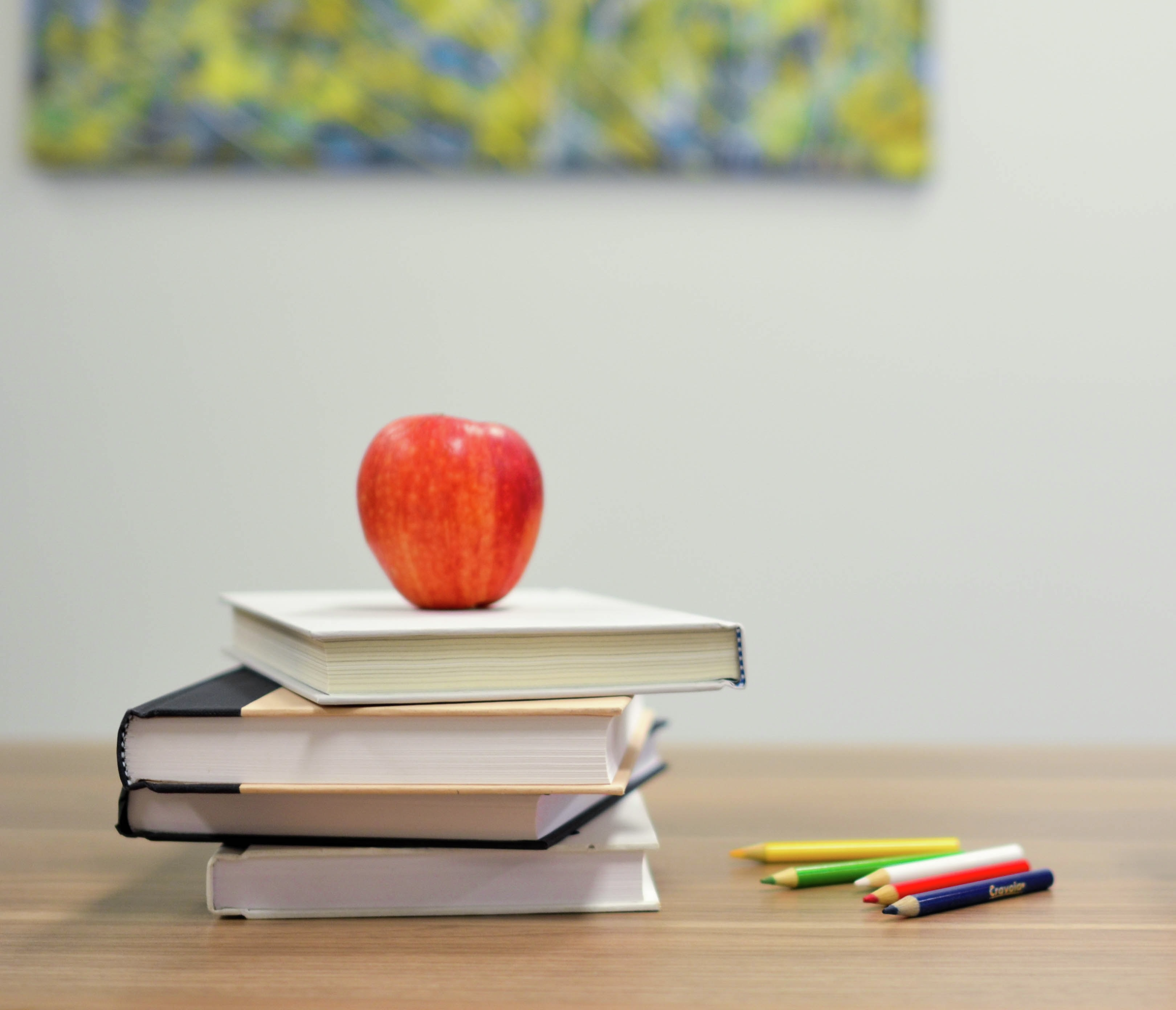 Mixed NAPLAN results: NSW leads in literacy, but gaps remain