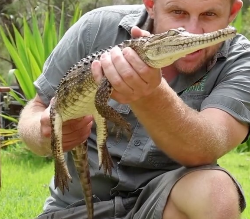 We've got an update on the Wallsend crocodile from the Australian Reptile Park