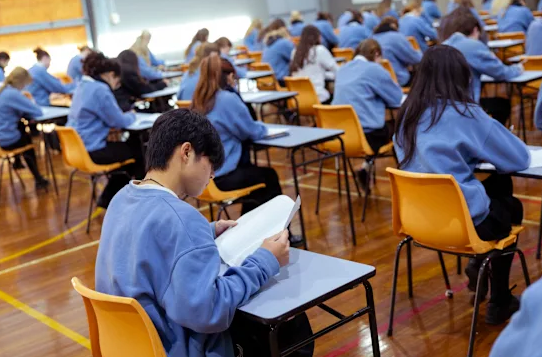 NSW could ban take-home assessments in HSC overhaul episode artwork