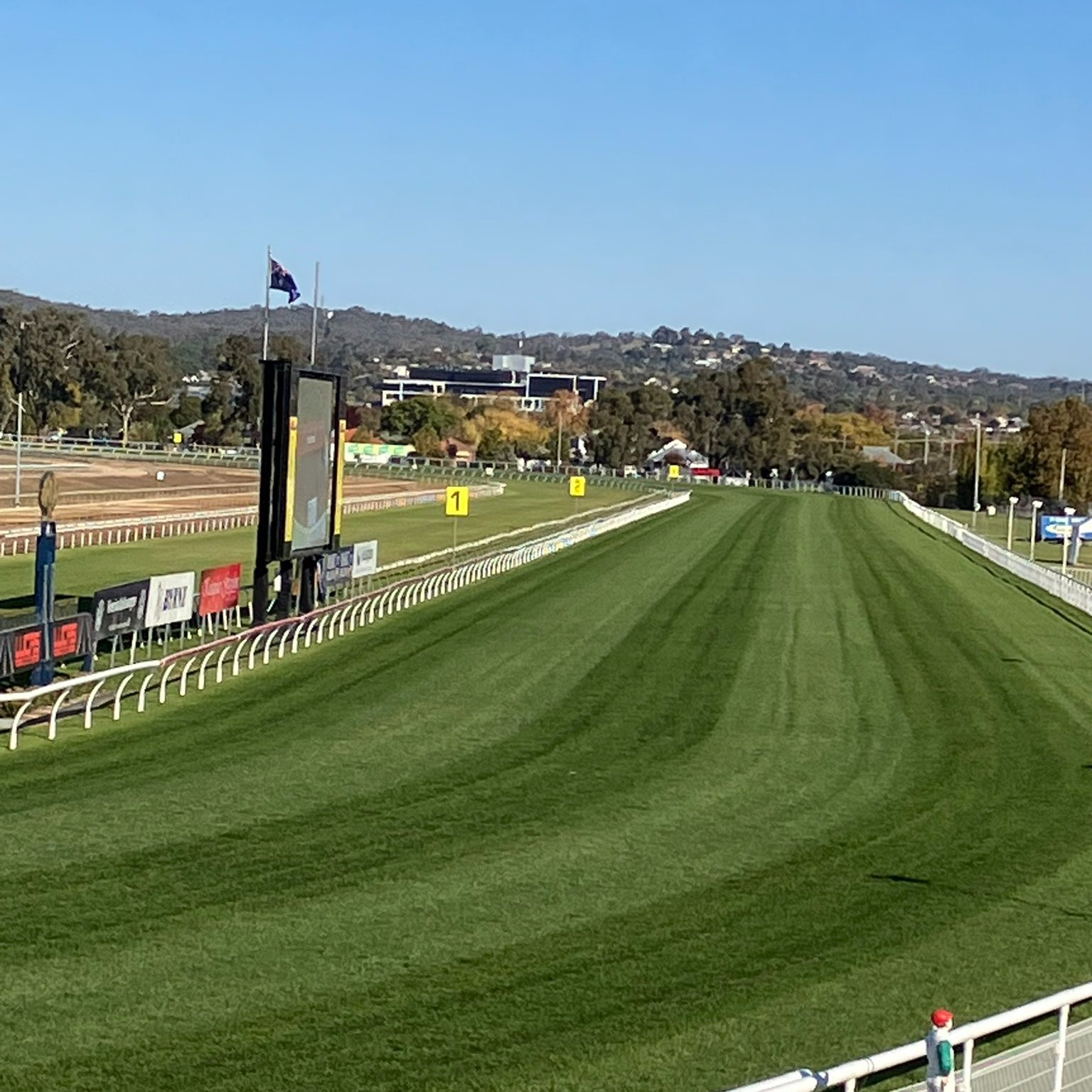 A big crowd expected trackside for Wagga Gold Cup day