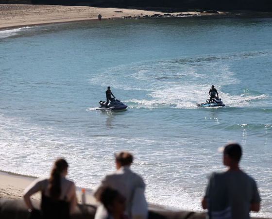 Growing calls for a shark cull after attack at Coogee Beach
