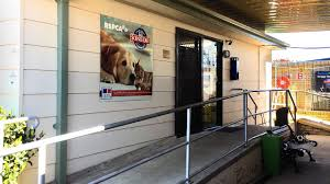 RSPCA forced to close Orange animal shelter