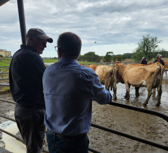 NSW Nationals leader says Mid North Coast farmers need flood grants, not loans