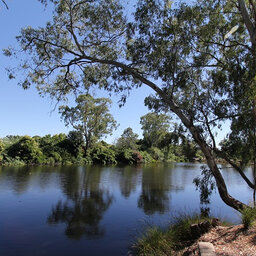 Calls for a rethink on Murray Darling water management