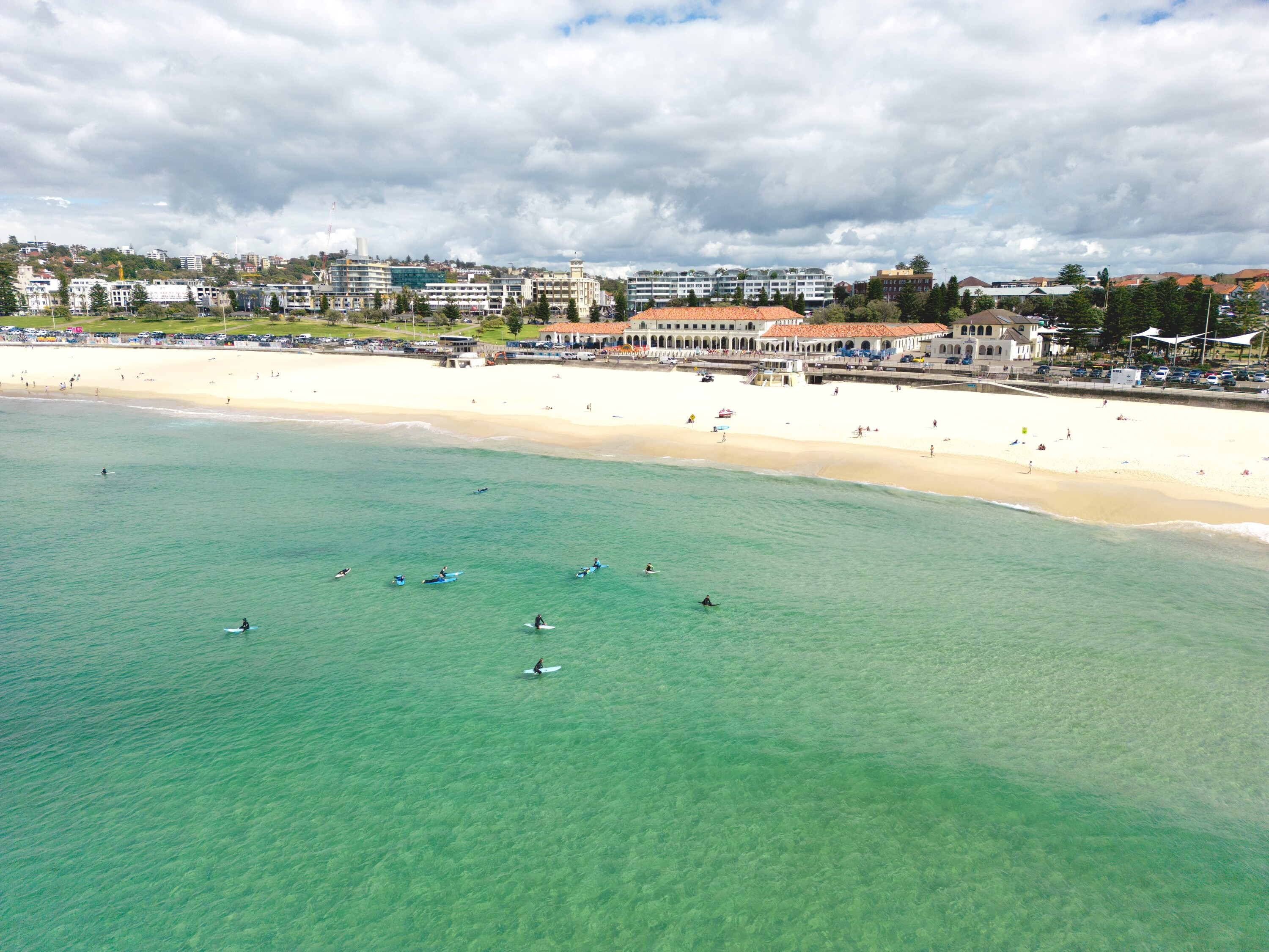 Shark nets could come down at popular Sydney beaches