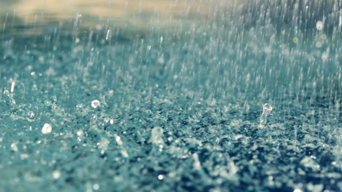 Welcome rain arrives in the Central West