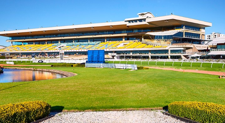 Decision looms for Rosehill Racecourse 