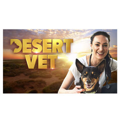 Desert Vet are looking for you!
