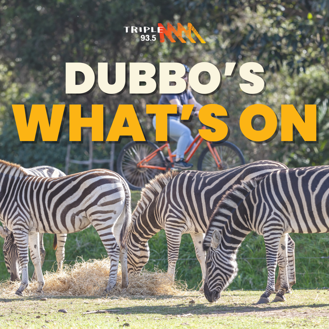 Jodi and Matho Dubbo What's On episode artwork