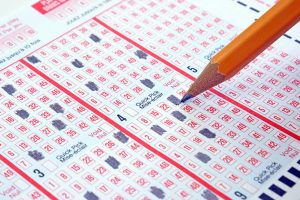 Alligator Creek man wins 1.2 million in Saturday lotto