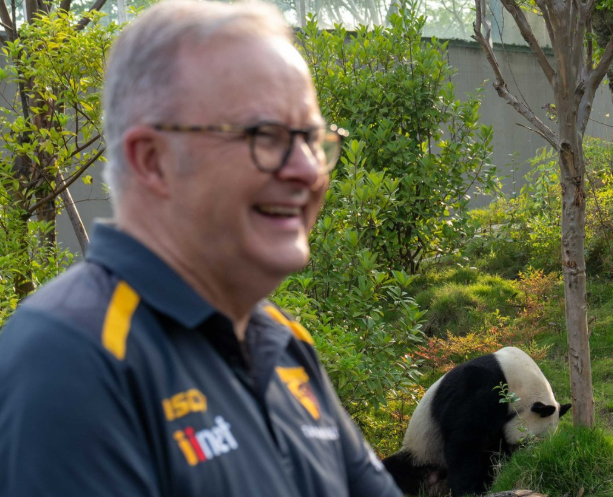 PM's panda cuddles ridiculed by Opposition which say focus should've been on Glencore