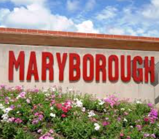 Mixed reception to Maryborough Business and Community Precinct episode artwork