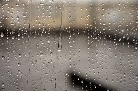 Woman on side of road killed in Logan pileup; And 320 SES jobs as rain continues for Brisbane